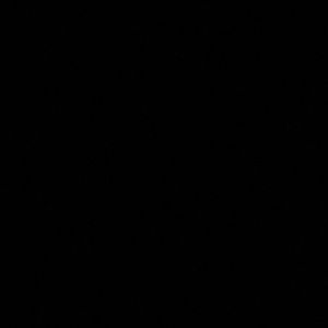 Meet your Posher, Ron